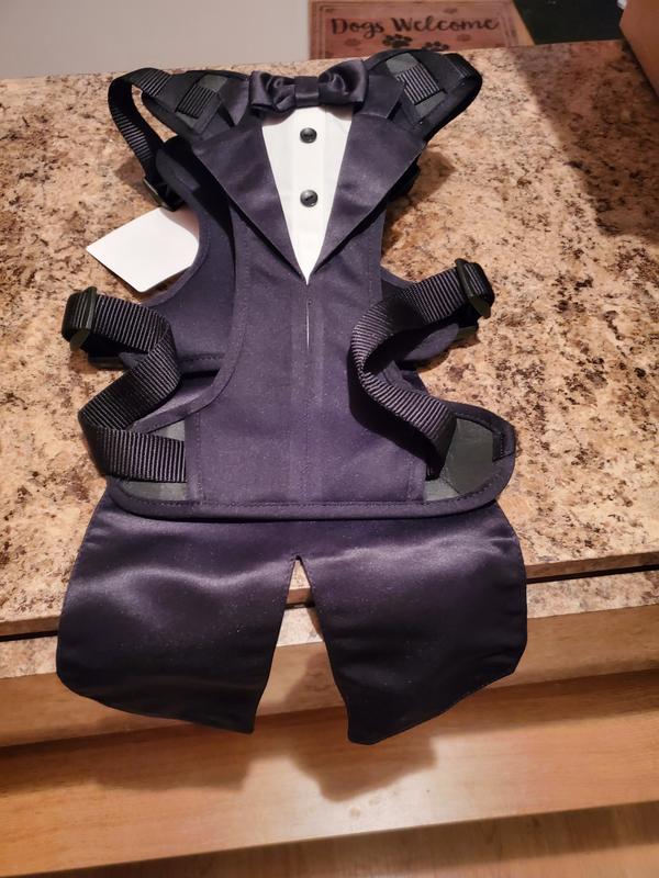 Adoable special occasion outfit