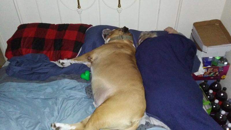 He takes it to bed with him