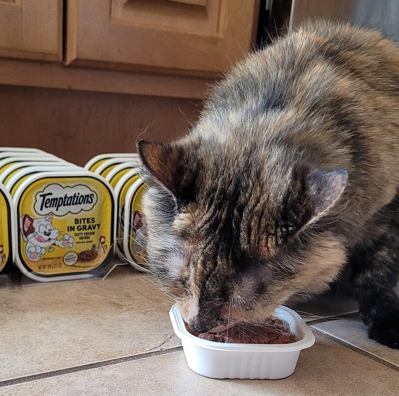 Will eat every last bite.