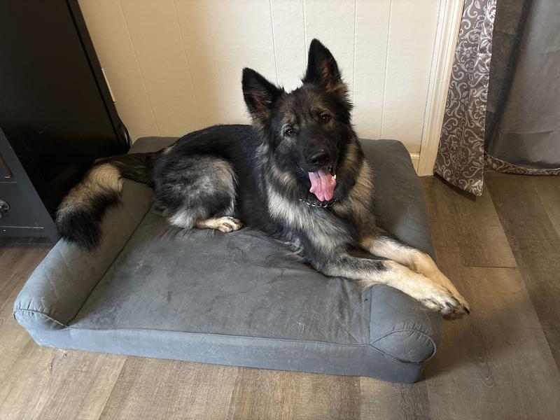 FurHaven Quilted Cooling Gel Bolster Cat & Dog Bed with Removable Cover