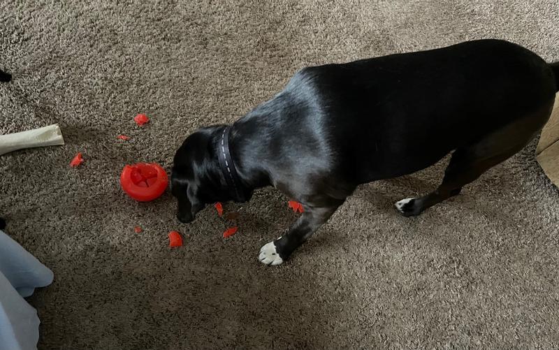 STARMARK Everlasting Treat Bento Ball Tough Dog Chew Toy, Large