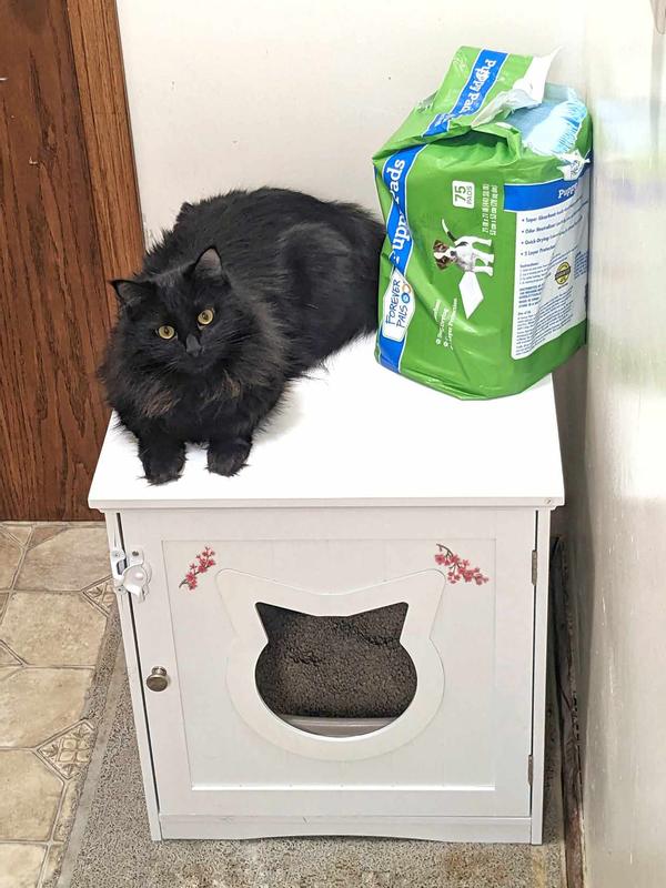 (Door lock and flower stickers added by me)