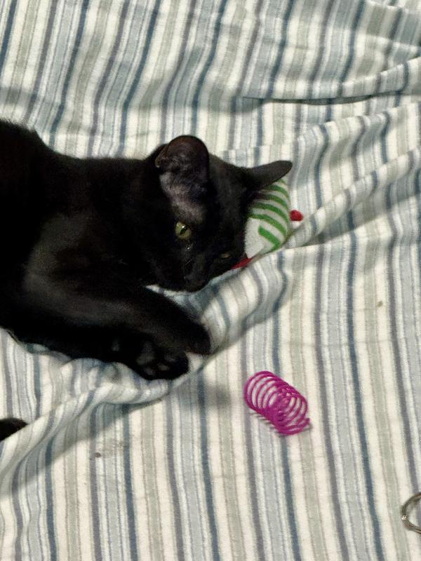 “Mine!”