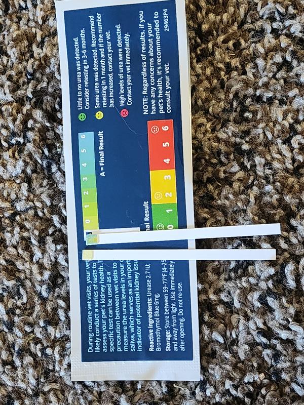 The light test strip I could only hold to her gums for about 2 seconds, the darker more accurate test was about 6 seconds