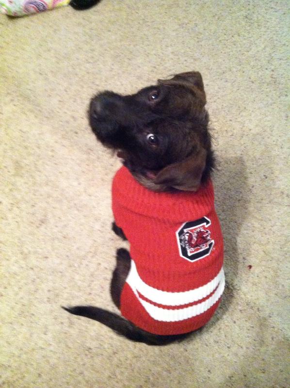 Ellie Bell supporting her team!