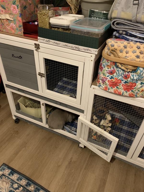 Easy for your bun to hop in and out.