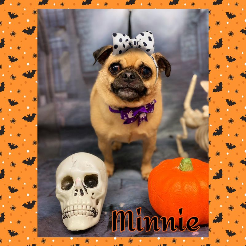 I’m ready for Halloween
