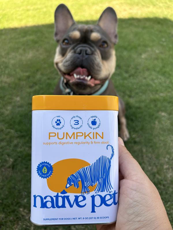 Native Pet Organic Pumpkin Fiber Powder Digestive Supplement for Dogs