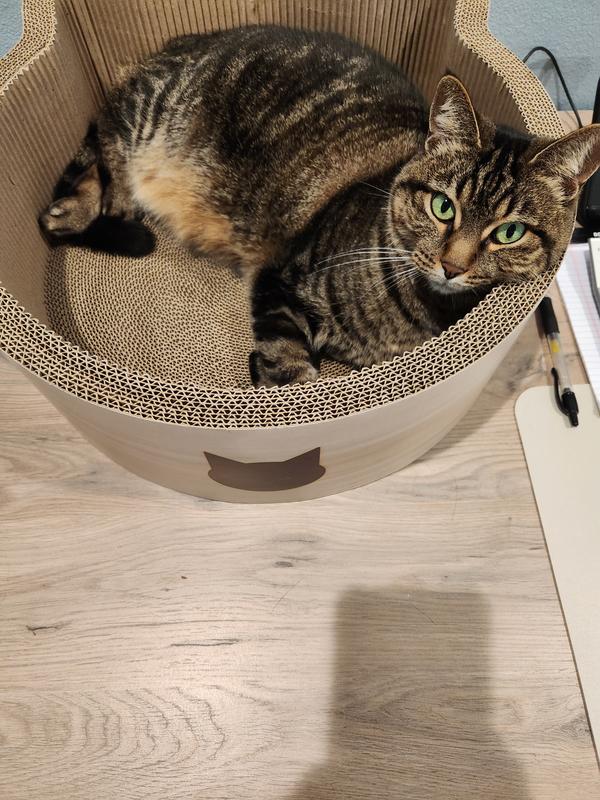 NECOICHI Cat Head Scratcher Bed, Large