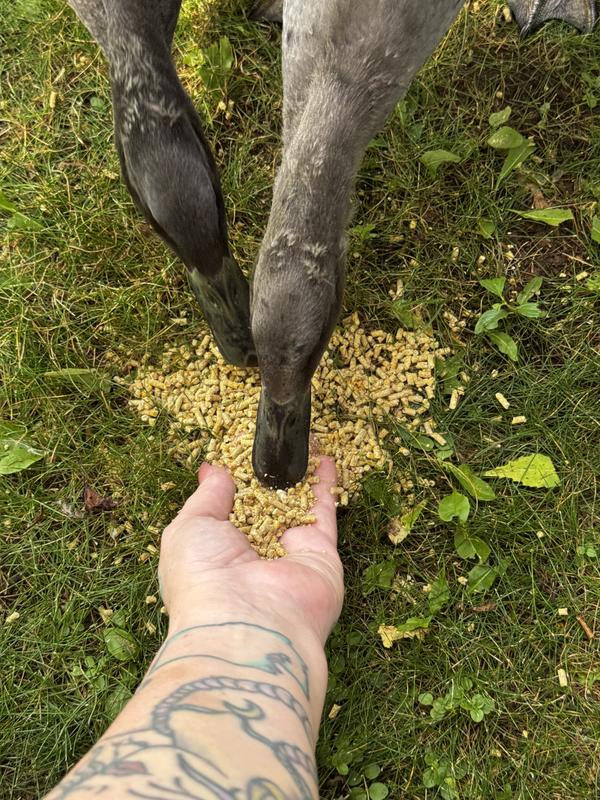 All the birdies flock to this feed!