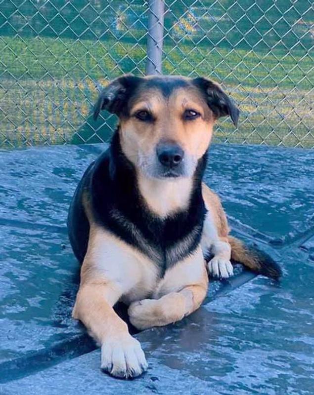 After a good nights sleep!