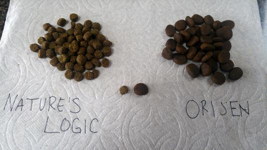 Nature's Logic is smaller, more grainy looking