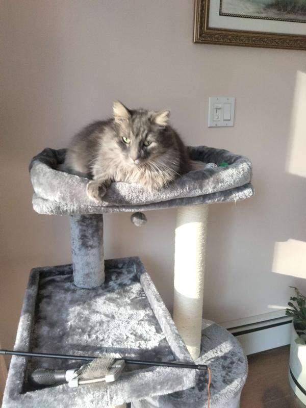 FRISCO 42in Heavy Duty Faux Fur Cat Tree & Condo, Gray