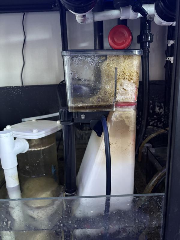 skimmer in sump while running