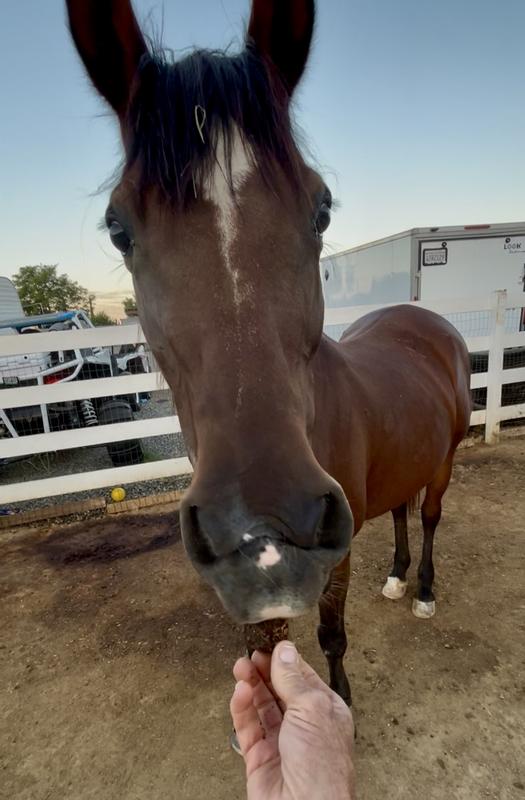 Little Bit on second day; she wants more!