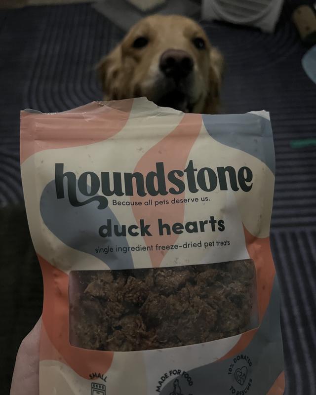 So excited for a treat!
