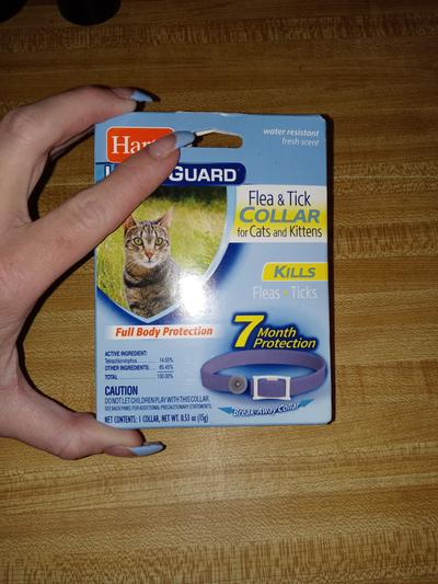 Ultraguard flea outlet collar