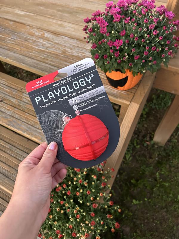 PLAYOLOGY Beef Extreme Tough Dual Layer Ball Dog Chew Toy, Red, Large