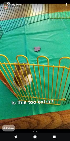 Moments before her big escape.