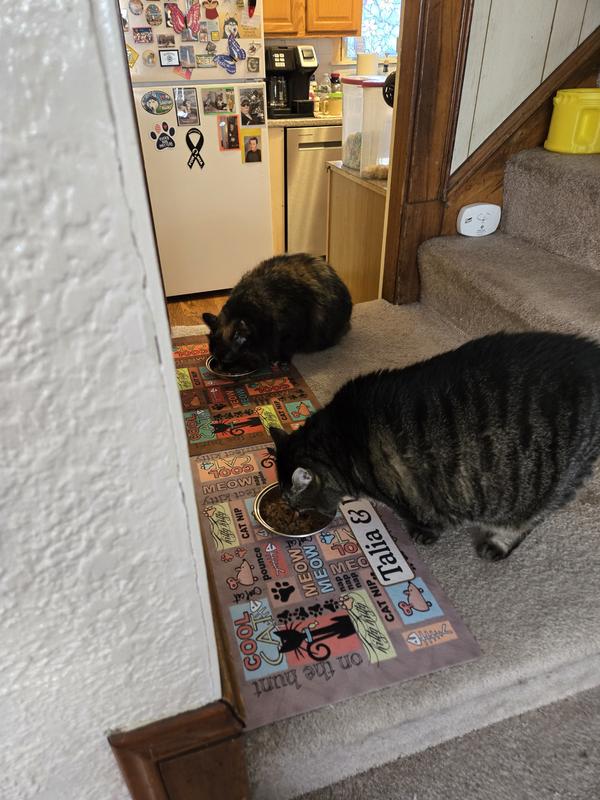 Very Detailed for Cats