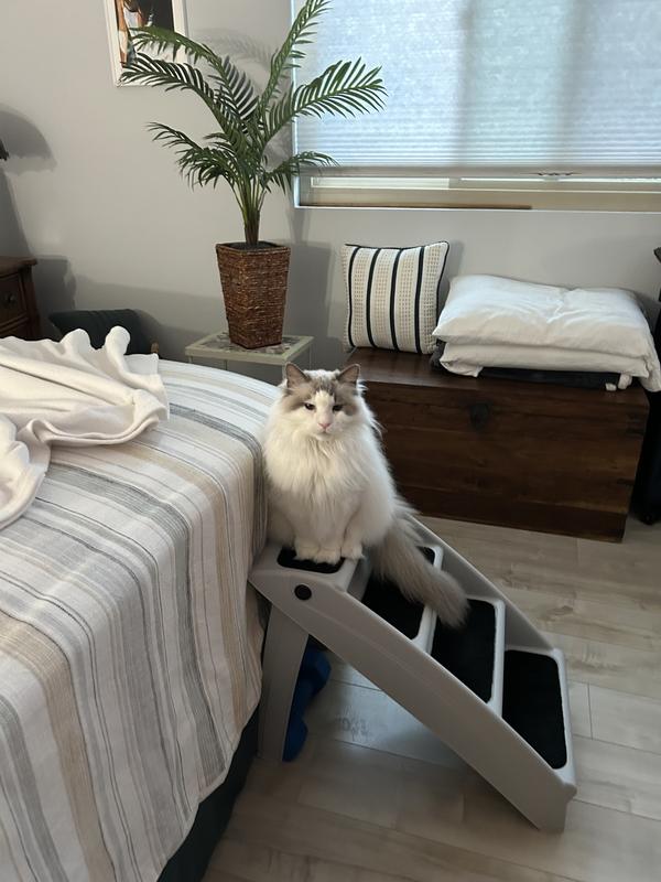 Isabella