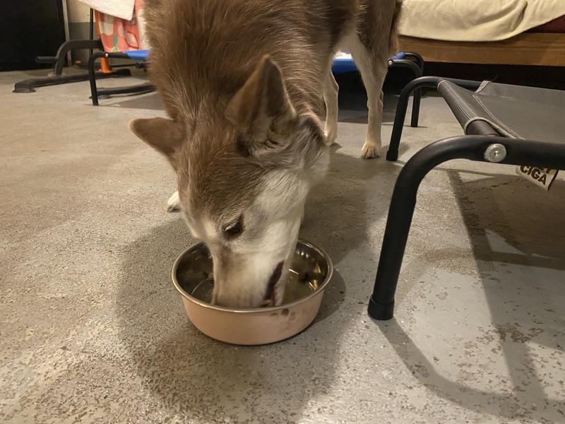 She ate all of it which is a testament to the taste