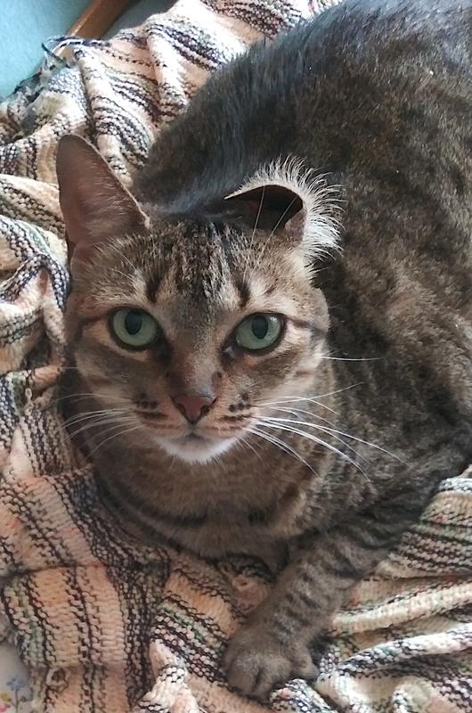 Scrat loves all the seafood flavors!