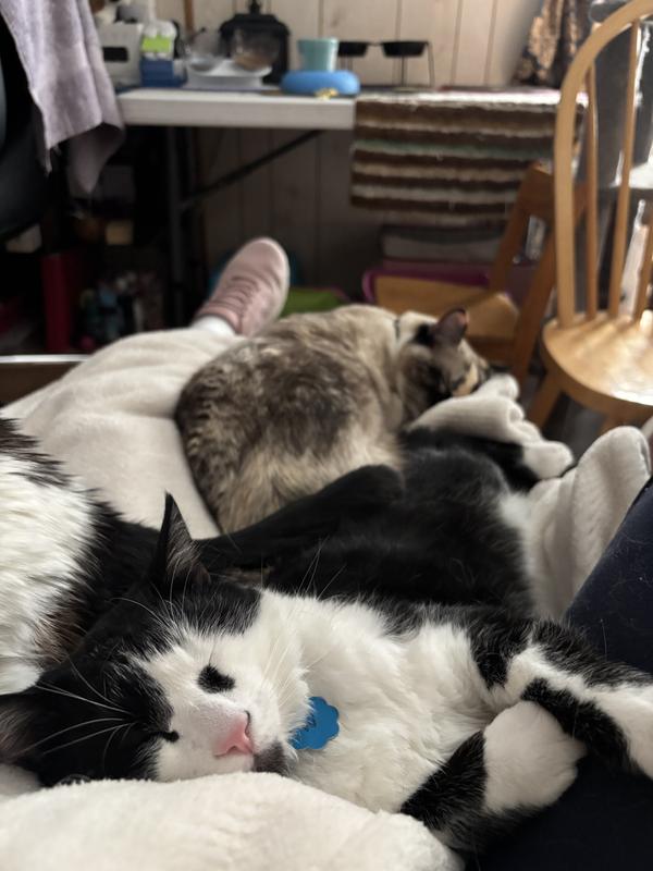 Snuggles with mom
