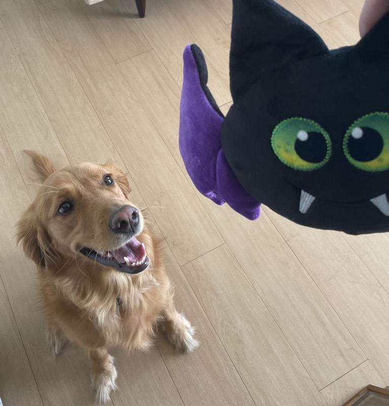 Frisco Halloween Bat Round Plush Squeaky Dog Toy