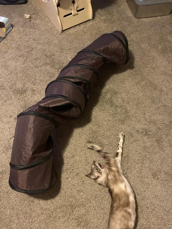 ZENFUN Collapsible Cat Play Tunnel – 12-inch Diameter, 50-inch Long, Brown Suede For Cats & Small Pets