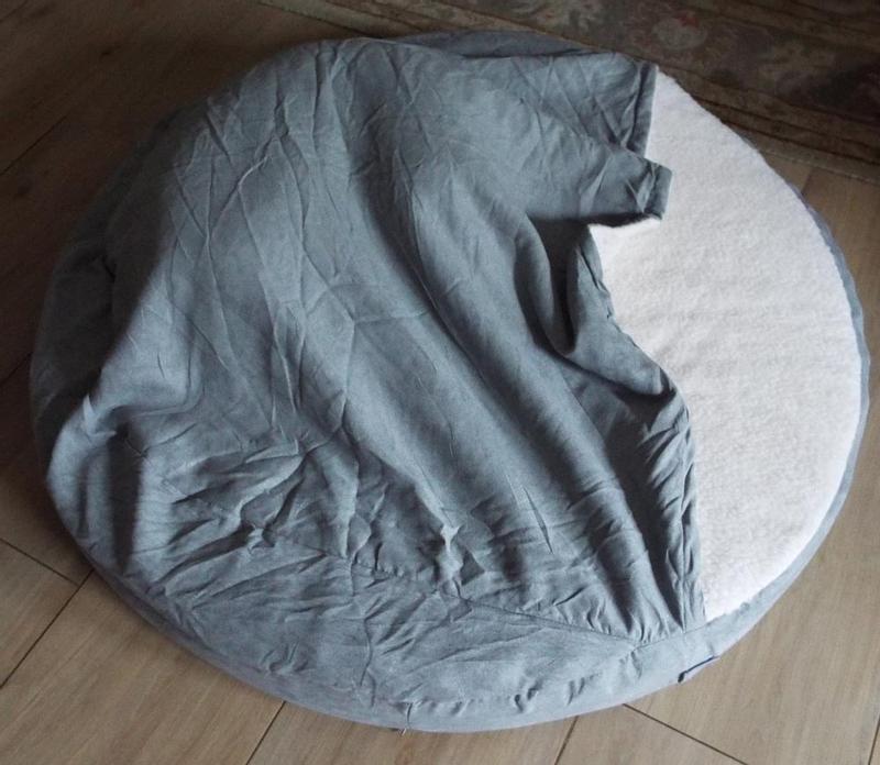 Side view, there IS a dog in there!