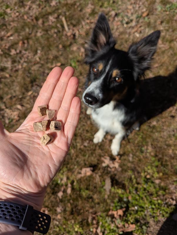 Good size for training rewards