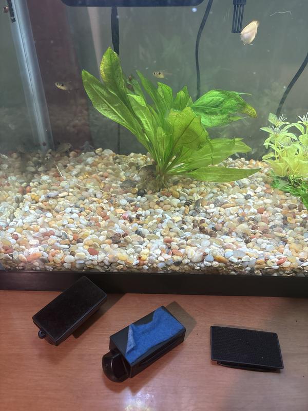 Blue pad did not work even one full time.