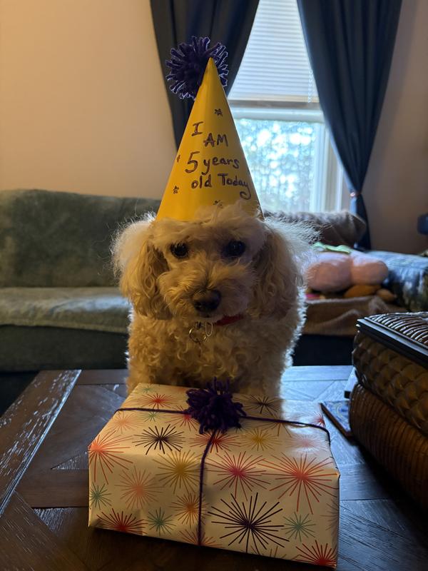 They made the perfect birthday gift!