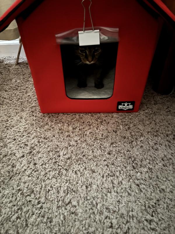 If you could only here her, it’s a grumpy MEOW