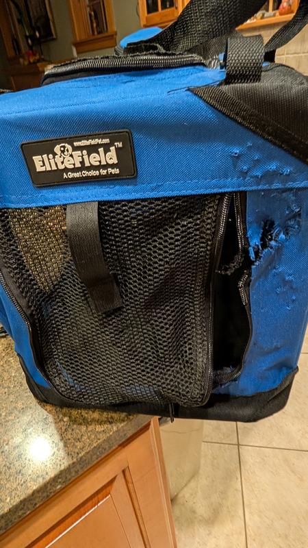 Dog chewed his way to freedom