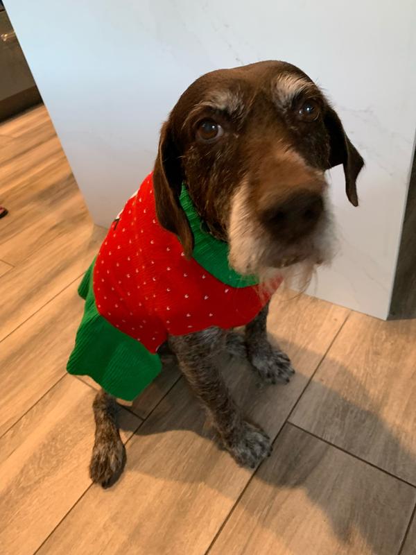 Product Reviews for FRISCO Penguin Dog & Cat Sweater Dress