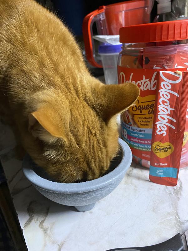 He loves every flavor and never leaves a drop