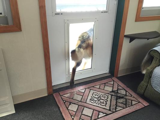airtight dog door