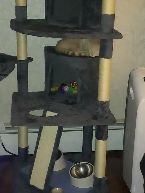 Built without wall attachment