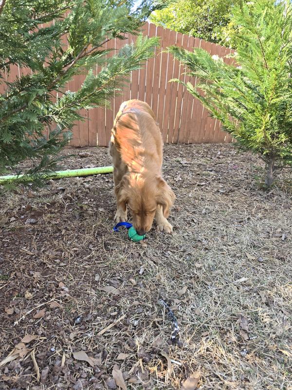 I am not ready to share!