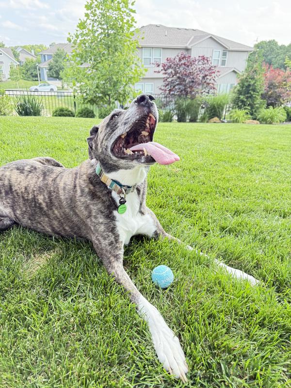 Thoroughly exhausted and happy