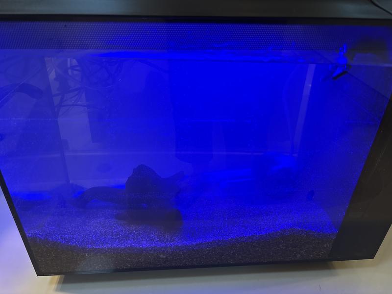 Side and top of tank plus color light change.