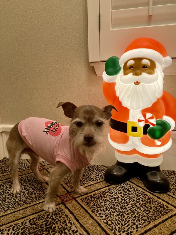 Harold in size small.