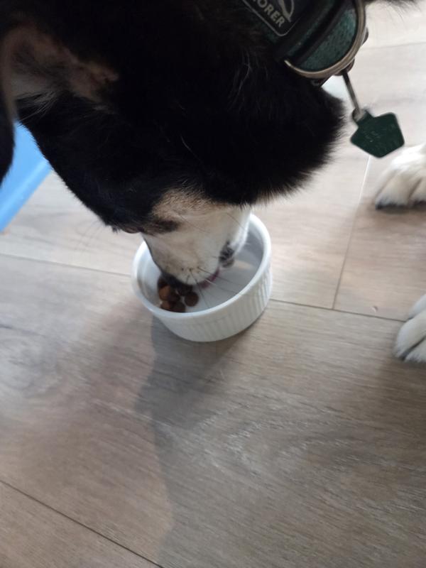 His favorite food! No toppers needed