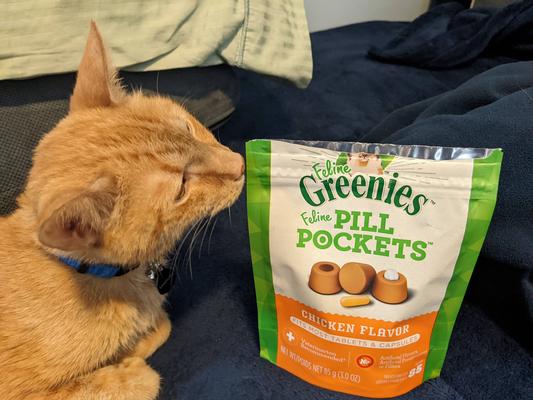 Best pill outlet pockets for cats