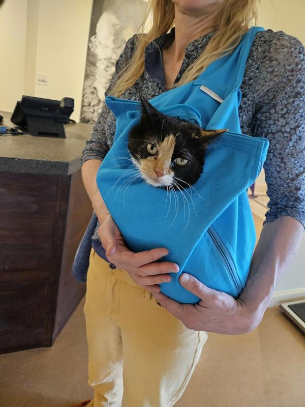 CAT-IN-THE-BAG E-Z-Zip Cat Carrier Bag, Light Blue, Small - Chewy.com