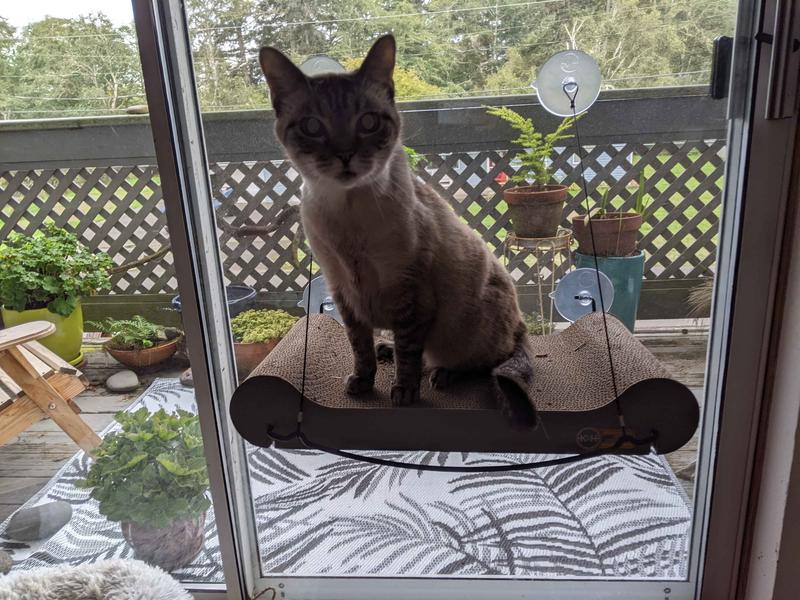 K&H Pet Products EZ Mount Window Cat Scratcher with Catnip
