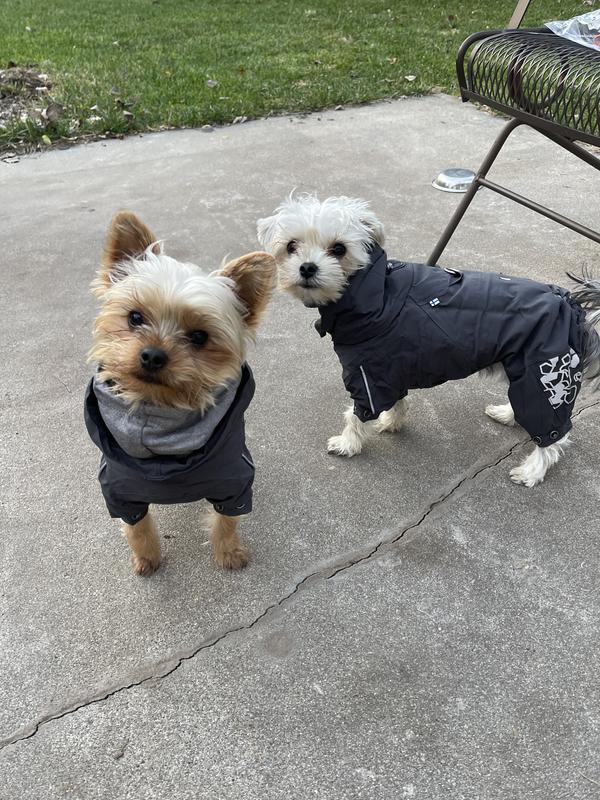 Hurtta Extreme Overall Insulated Dog Snowsuit, Blackberry