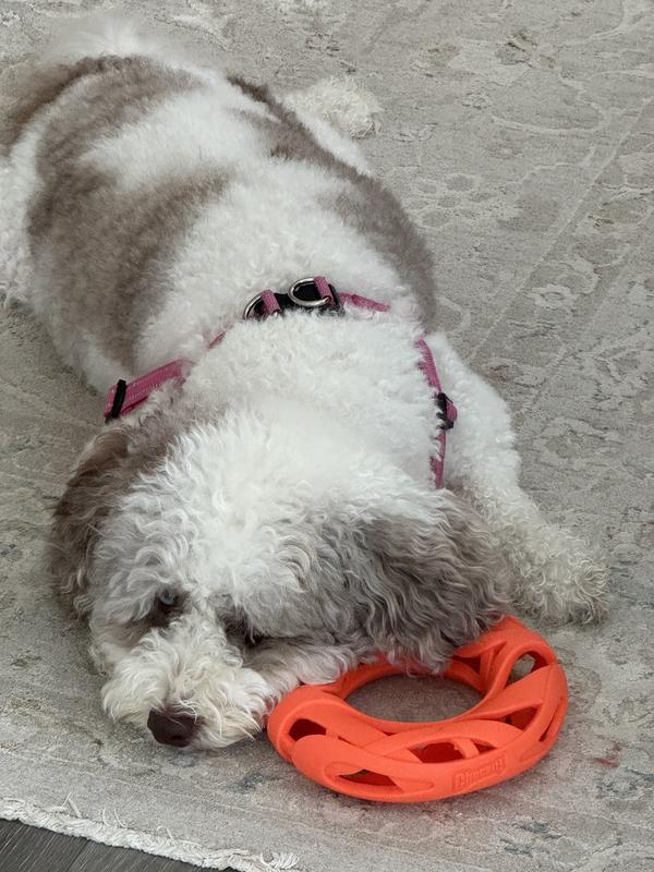 Lexi can’t waiting for Allergy Season to end!